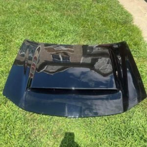 Chrysler 300 demon hood